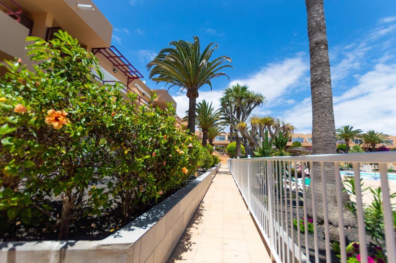 Apartament Casanikolai Corralejo Zewnętrze zdjęcie